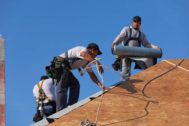 Quick and Trustworthy Emergency Roof Repair Services in Wekiwa Springs, FL